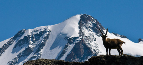Trekking nel PNGP