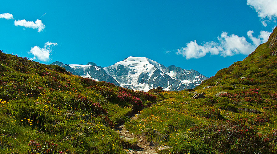 Tour dei Combin
